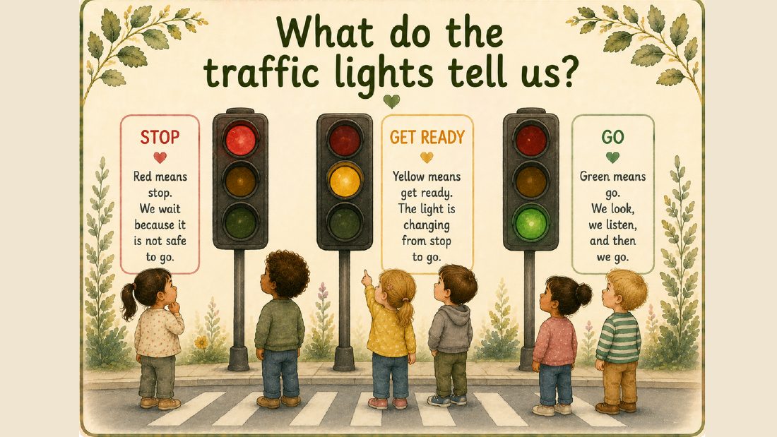 Transport card: What do the traffic lights tell us?
