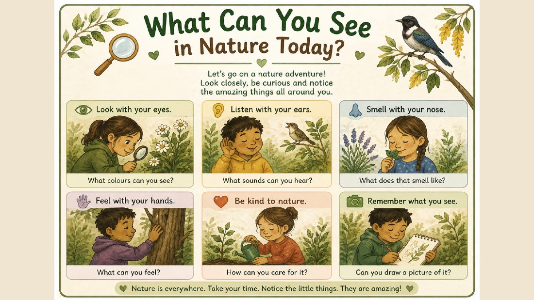 Nature card: What Can You See in Nature Today?