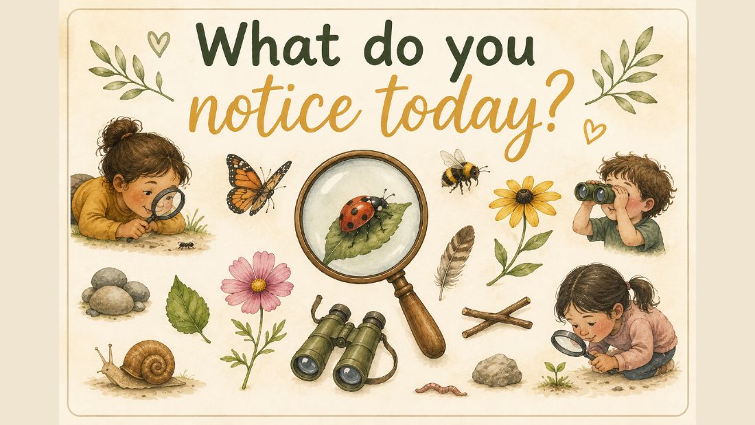 Reflection card: What do you notice today?